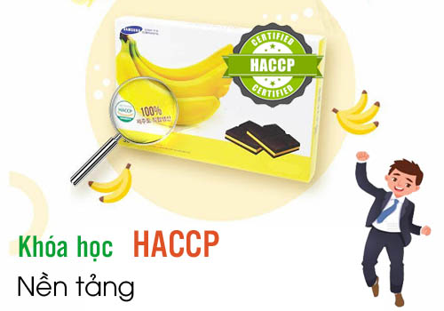 Khóa học nền tảng HACCP